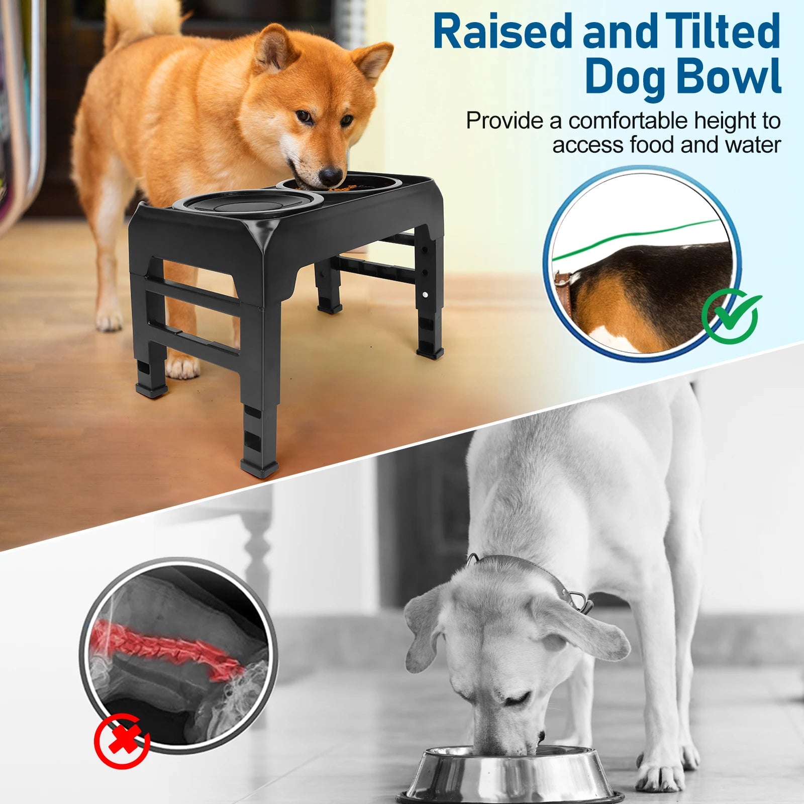 Elevated slow feeder for dogs online